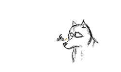 Art | Wolf