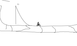 BMX SLOW MO