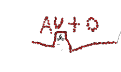 Auto 1