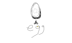 egg🥚