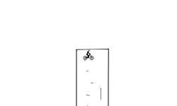 race