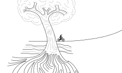 Roots