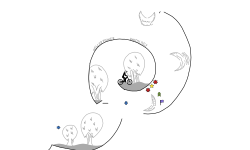 Small Collab (DESC)