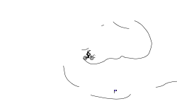 wheelie