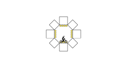 Octagon
