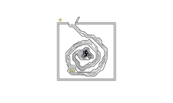 Ant Farm Escape!