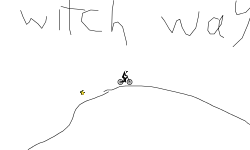 The rider