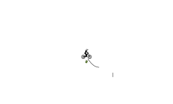 Crack of the whip