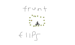 frount flips !!!!!!!!!!!!!!!!!