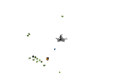 shift heli