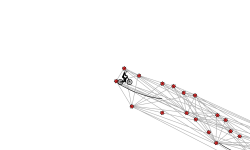 Near-Miss Wheely