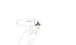 Cobra