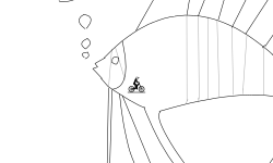 angelfish
