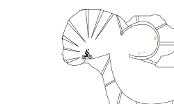CAVE RIDER