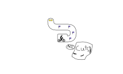 No Cuts