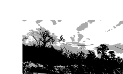 Potomac #1