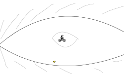 The eye