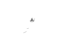 Auto level