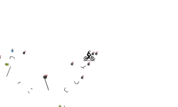 DON'T MOVE!