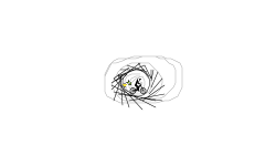 Black hole