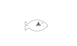 Goldfish