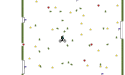 woa new update