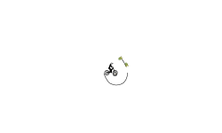 BMX or MTB