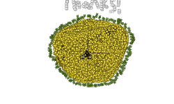 10000