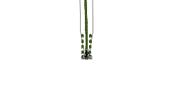Yeet fu.cker