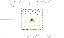 Square t