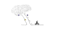 Get That Bike Out Of That Tree
