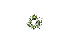 Spinning wheel of death