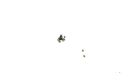 bomb auto