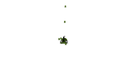 weeeeee