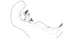 Bad (ly drawn) lands