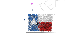 Texas Flag