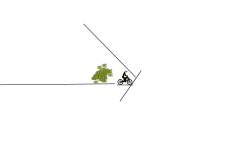 Crawl on the wall glich
