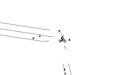 Weird Trail