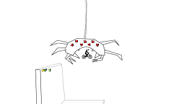 SPIDER RUN!