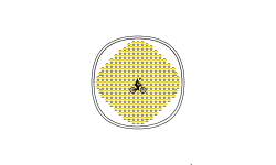 Cool spin