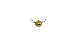 Golden Snitch Preview