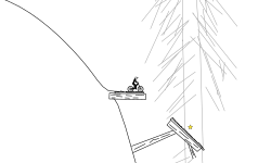 Into The Forest!