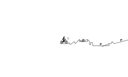 Noob Challenge 1