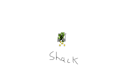 Shack