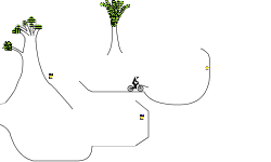 plant's