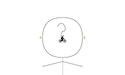 Face Reveal