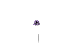 auto 3 pointer track