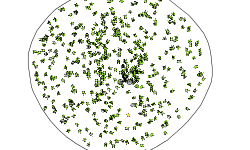 FUNNY CONTAINMENT CIRCLE
