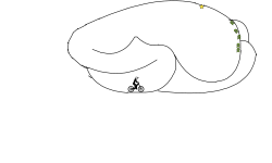 BIKE TRACK