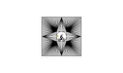 Optical Illusions